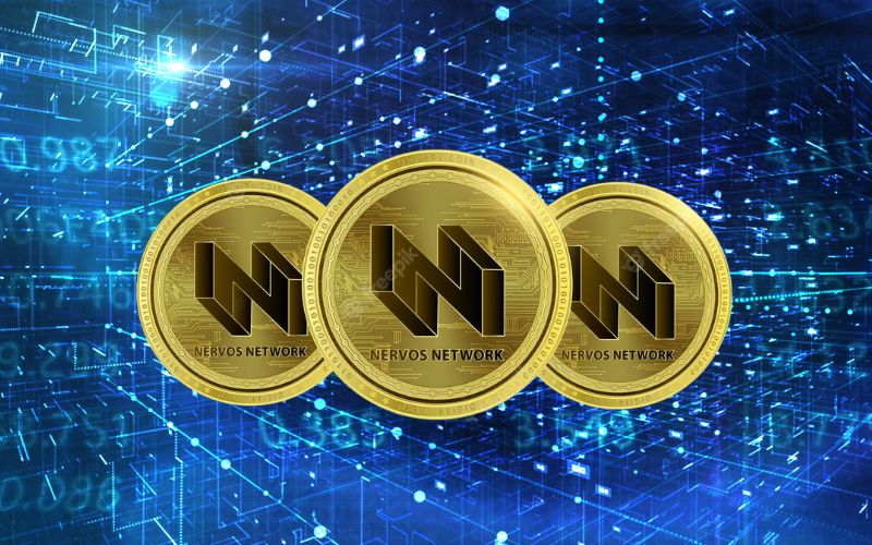 Lee más sobre el artículo ¿Qué es Nervos Network? Descubre todo sobre esta criptomoneda